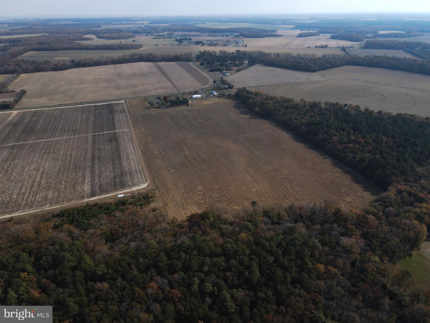 DESU2051060-802720756546-2024-10-08-12-41-38 31 Acres Clendaniel Pond | Lincoln, DE Real Estate For Sale | MLS# Desu2051060  - Jack Lingo REALTOR