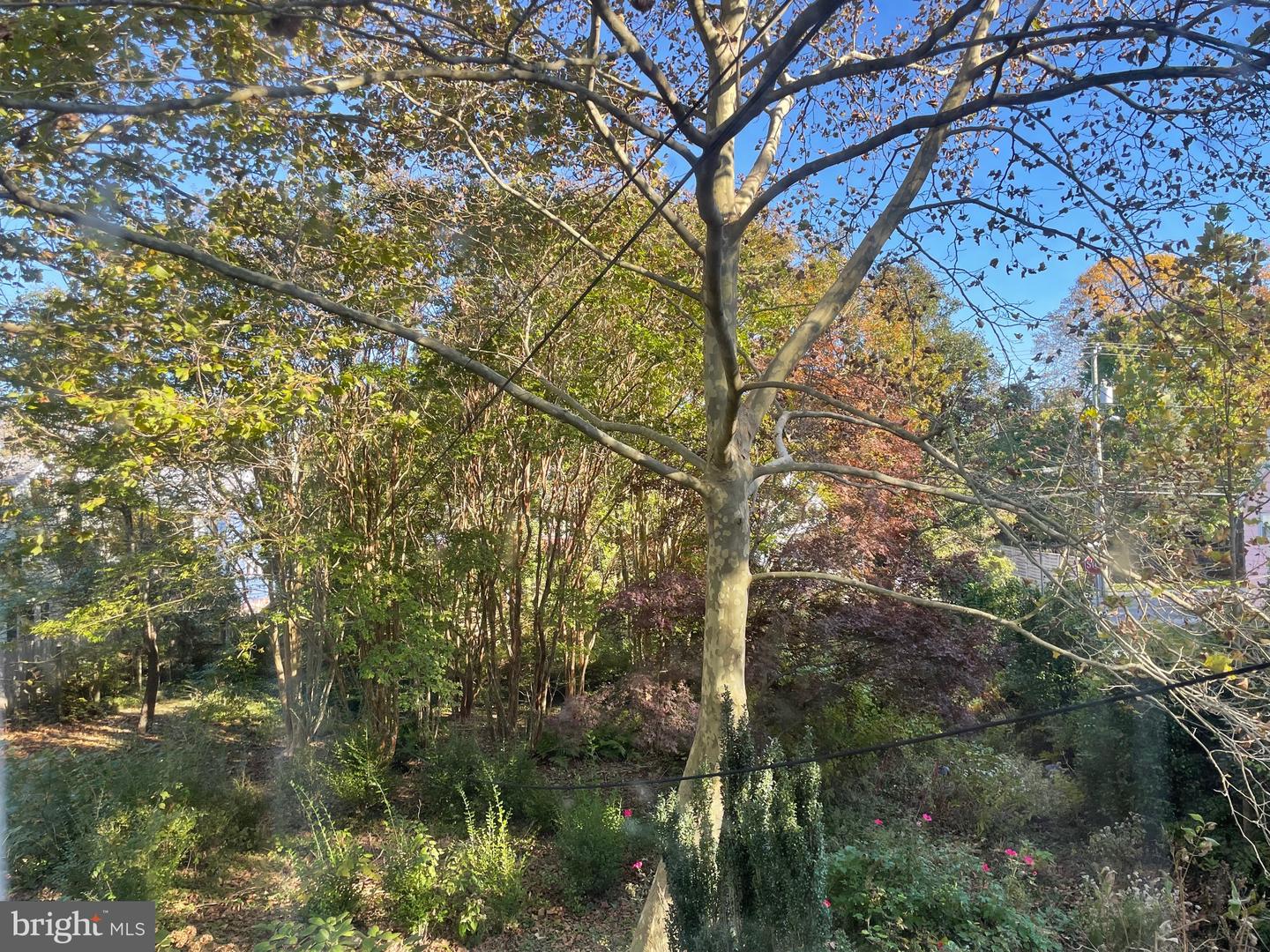 DESU2052036-802742585712-2026-02-25-13-36-55 109 Hazzard Ln | Milton, DE Real Estate For Sale | MLS# Desu2052036  - Jack Lingo REALTOR