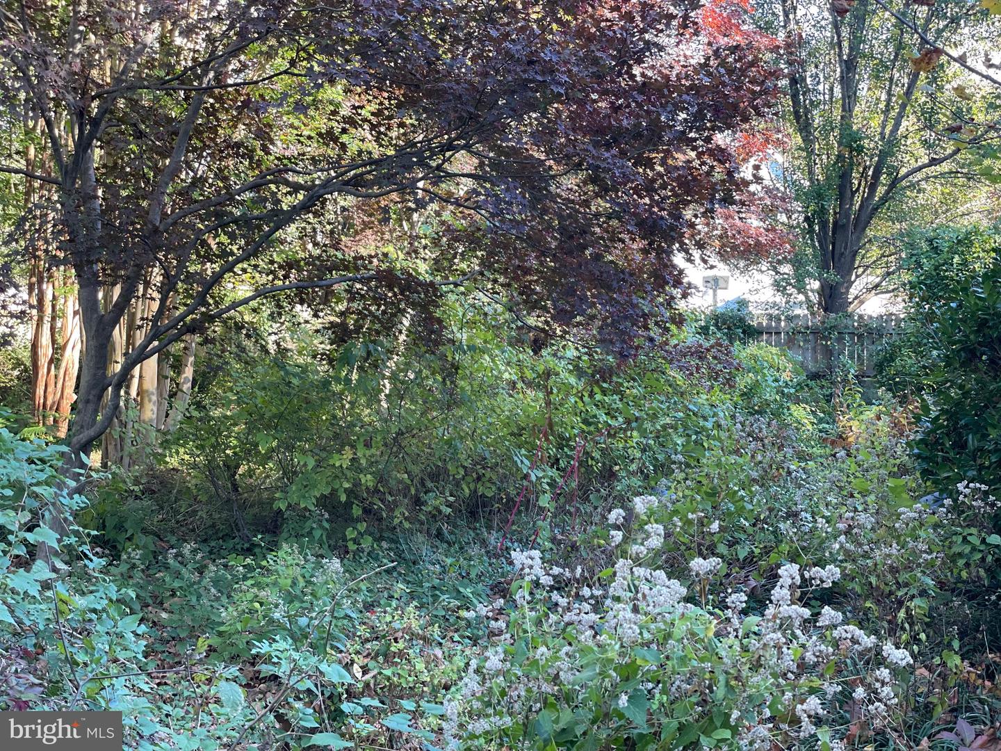 DESU2052036-802742585744-2026-02-25-13-36-55 109 Hazzard Ln | Milton, DE Real Estate For Sale | MLS# Desu2052036  - Jack Lingo REALTOR