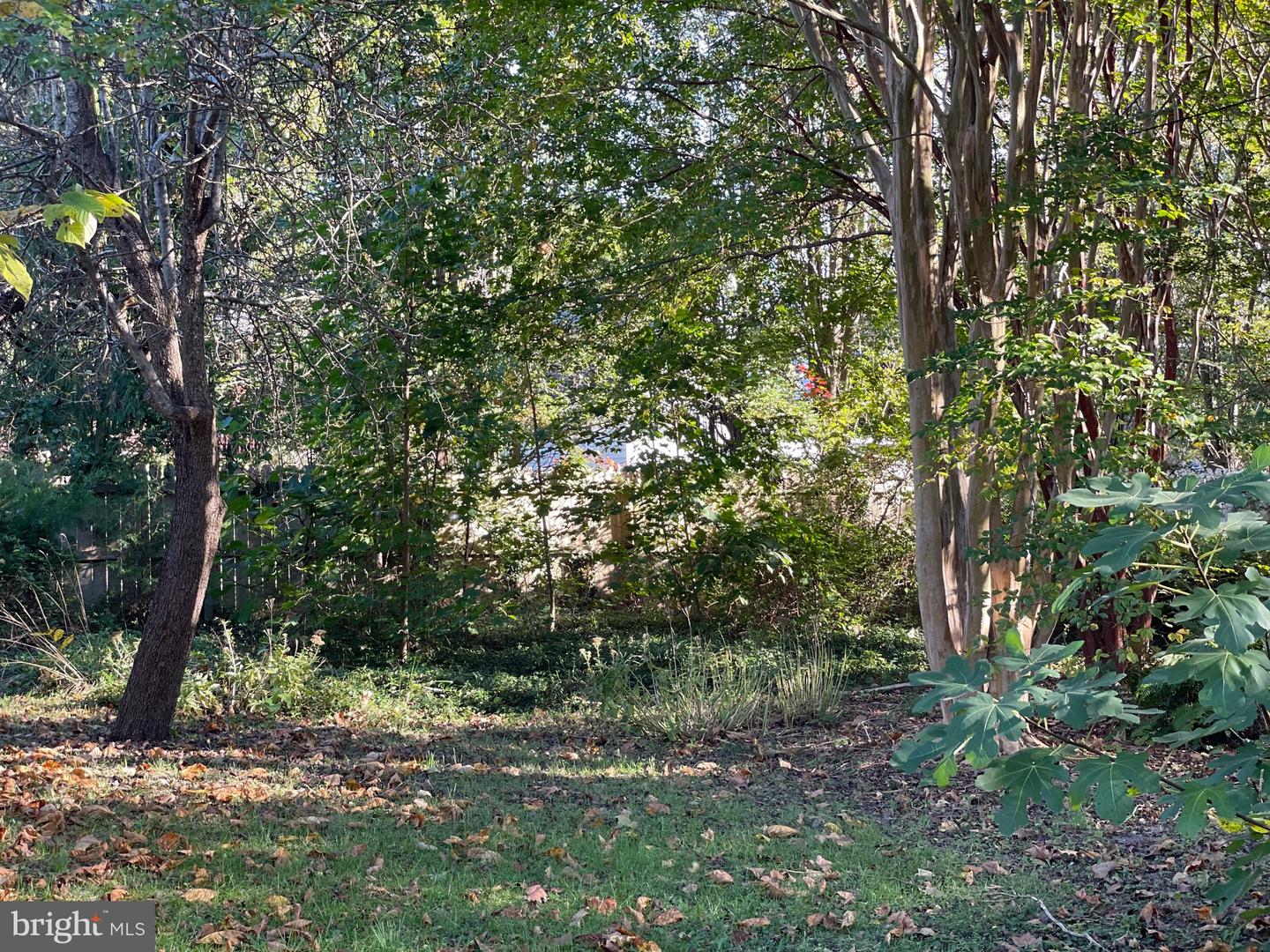 DESU2052036-802742585752-2025-12-01-11-46-54 109 Hazzard Ln | Milton, DE Real Estate For Sale | MLS# Desu2052036 - Jack Lingo REALTOR DESU2052036-802742585752-2025-12-01-11-46-54 109 Hazzard Ln | Milton, DE Real Estate For Sale | MLS# Desu2052036 - Jack Lingo REALTOR