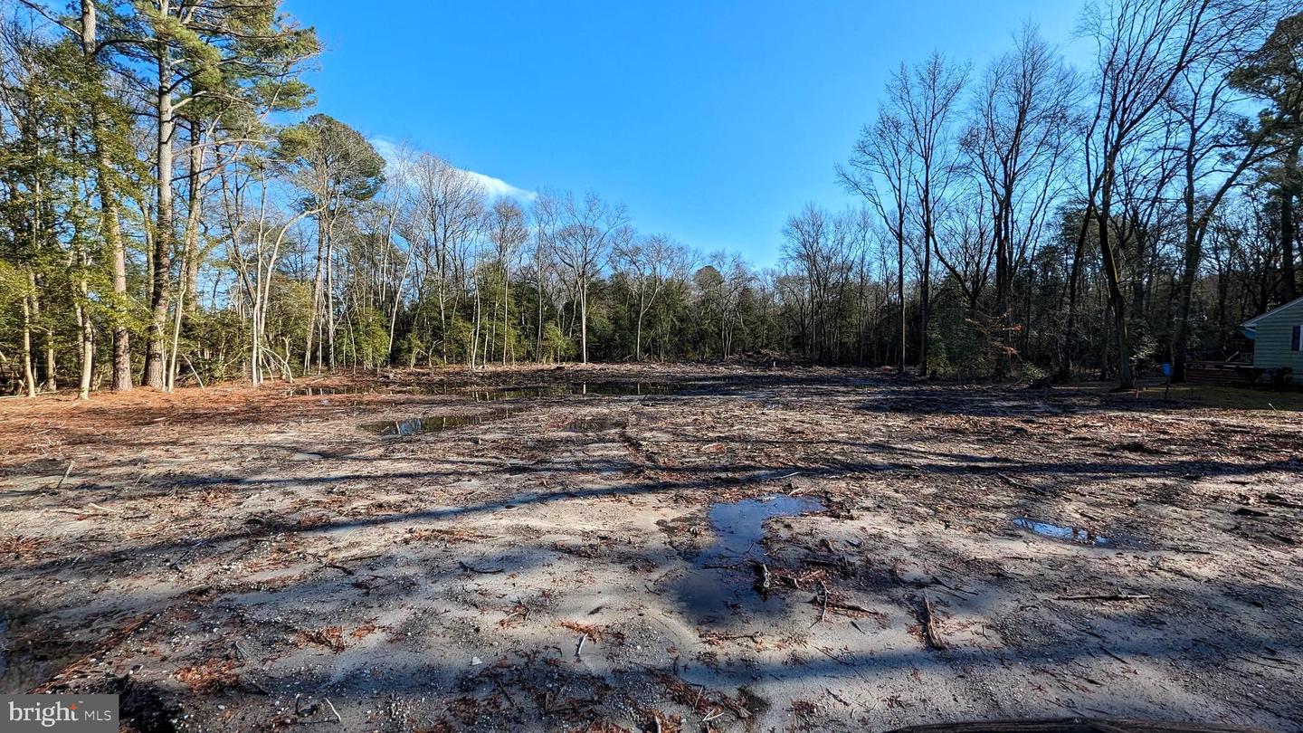 DESU2053496-802792252456-2025-04-05-07-44-33 Lot 4 River Rd | Seaford, DE Real Estate For Sale | MLS# Desu2053496  - Jack Lingo REALTOR