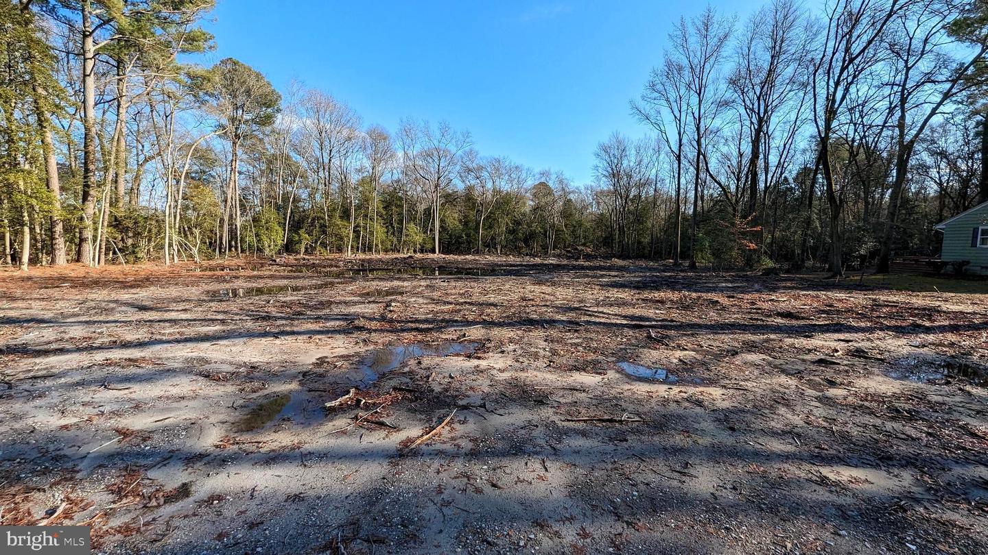 DESU2053496-802792252636-2025-04-05-07-44-32 Lot 4 River Rd | Seaford, DE Real Estate For Sale | MLS# Desu2053496  - Jack Lingo REALTOR