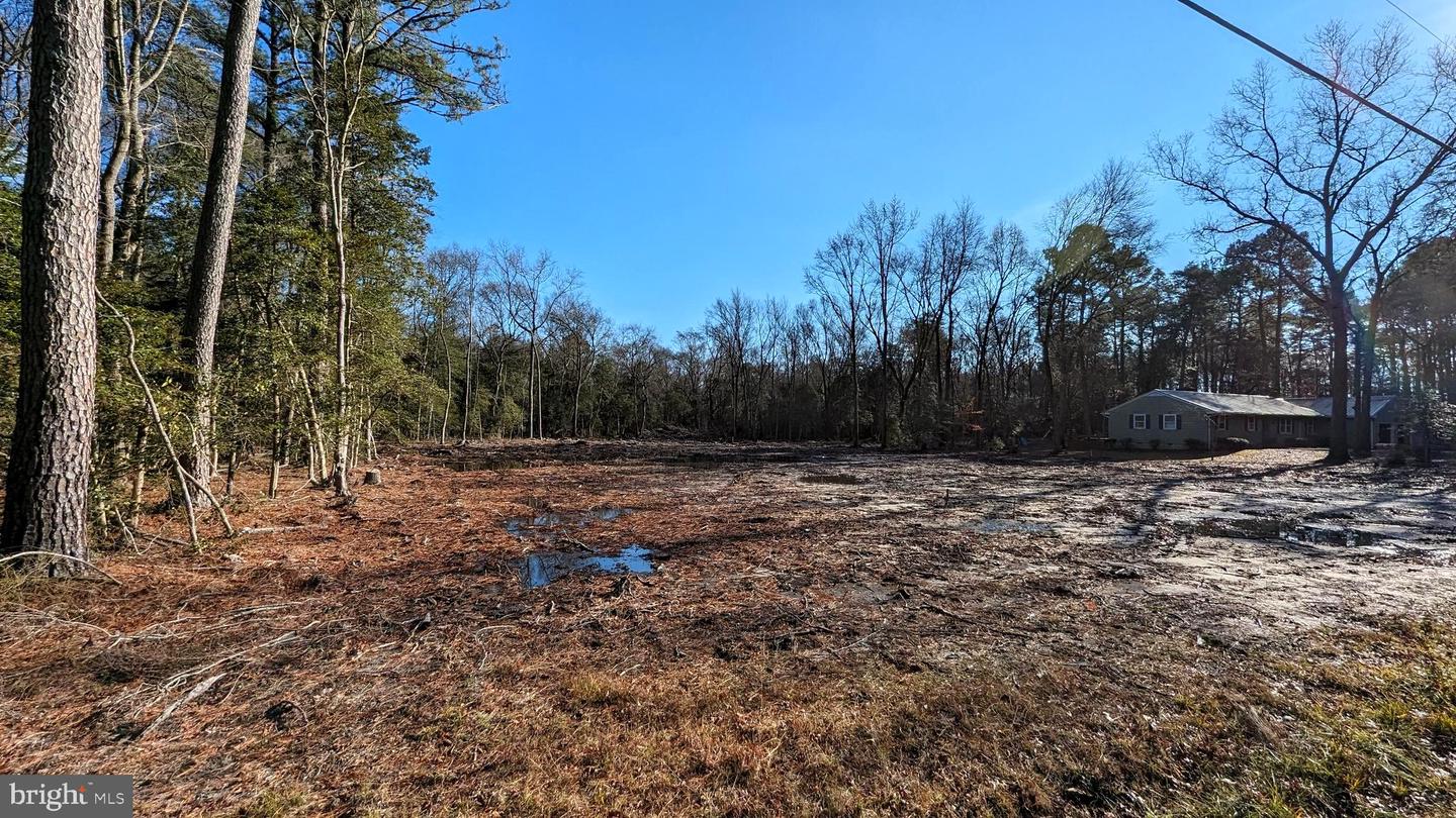 DESU2053496-802792252894-2025-04-05-07-44-33 Lot 4 River Rd | Seaford, DE Real Estate For Sale | MLS# Desu2053496  - Jack Lingo REALTOR
