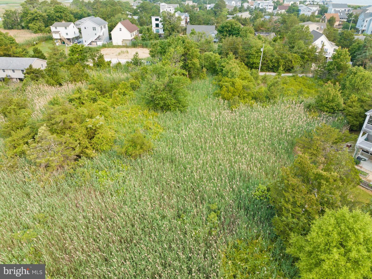 DESU2054248-802812985668-2025-07-01-10-26-52 105 Tbb Mississippi Ave | Milton, DE Real Estate For Sale | MLS# Desu2054248  - Jack Lingo REALTOR