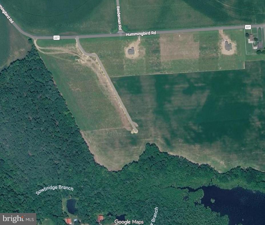 DESU2054460-804516363760-2026-02-09-12-34-42 Parcel A Hummingbird Road | Ellendale, DE Real Estate For Sale | MLS# Desu2054460  - Jack Lingo REALTOR