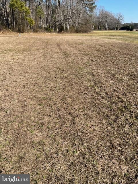 DESU2054952-802843501402-2025-06-11-15-27-40 17725 Bridlewood Rd | Milton, DE Real Estate For Sale | MLS# Desu2054952 - Jack Lingo REALTOR DESU2054952-802843501402-2025-06-11-15-27-40 17725 Bridlewood Rd | Milton, DE Real Estate For Sale | MLS# Desu2054952 - Jack Lingo REALTOR