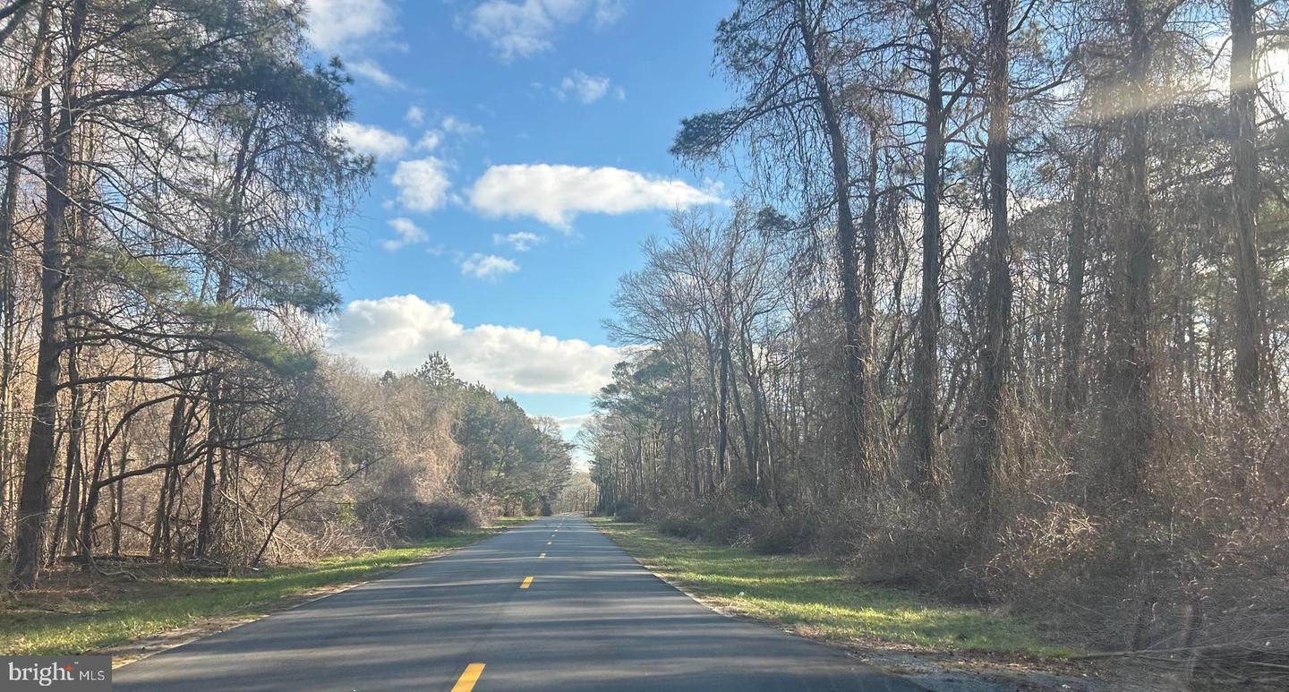 DESU2056652-802880757666-2025-02-25-09-01-02 30475 Bunting Rd | Dagsboro, DE Real Estate For Sale | MLS# Desu2056652  - Jack Lingo REALTOR