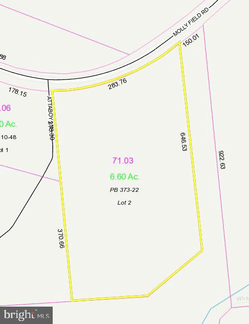 LOT 2 MOLLY FIELD RD, DAGSBORO, DE - Jack Lingo Realtor