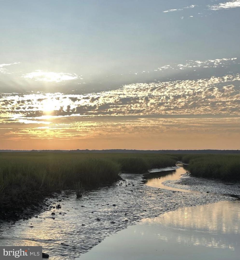 DESU2058960-802948547922-2025-09-23-12-08-18 Lot 514 Beach Plum Dr | Milford, DE Real Estate For Sale | MLS# Desu2058960 - Jack Lingo REALTOR DESU2058960-802948547922-2025-09-23-12-08-18 Lot 514 Beach Plum Dr | Milford, DE Real Estate For Sale | MLS# Desu2058960 - Jack Lingo REALTOR