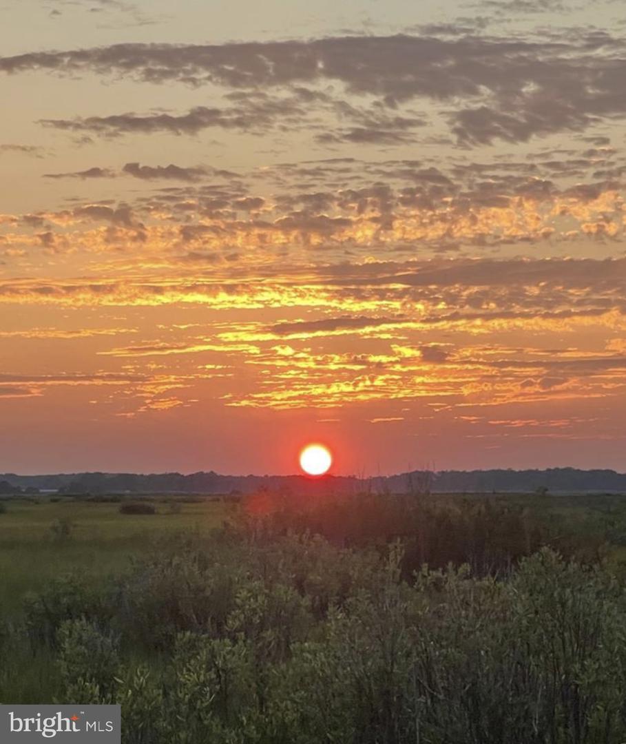 DESU2058960-802948547934-2025-09-23-12-08-17 Lot 514 Beach Plum Dr | Milford, DE Real Estate For Sale | MLS# Desu2058960 - Jack Lingo REALTOR DESU2058960-802948547934-2025-09-23-12-08-17 Lot 514 Beach Plum Dr | Milford, DE Real Estate For Sale | MLS# Desu2058960 - Jack Lingo REALTOR