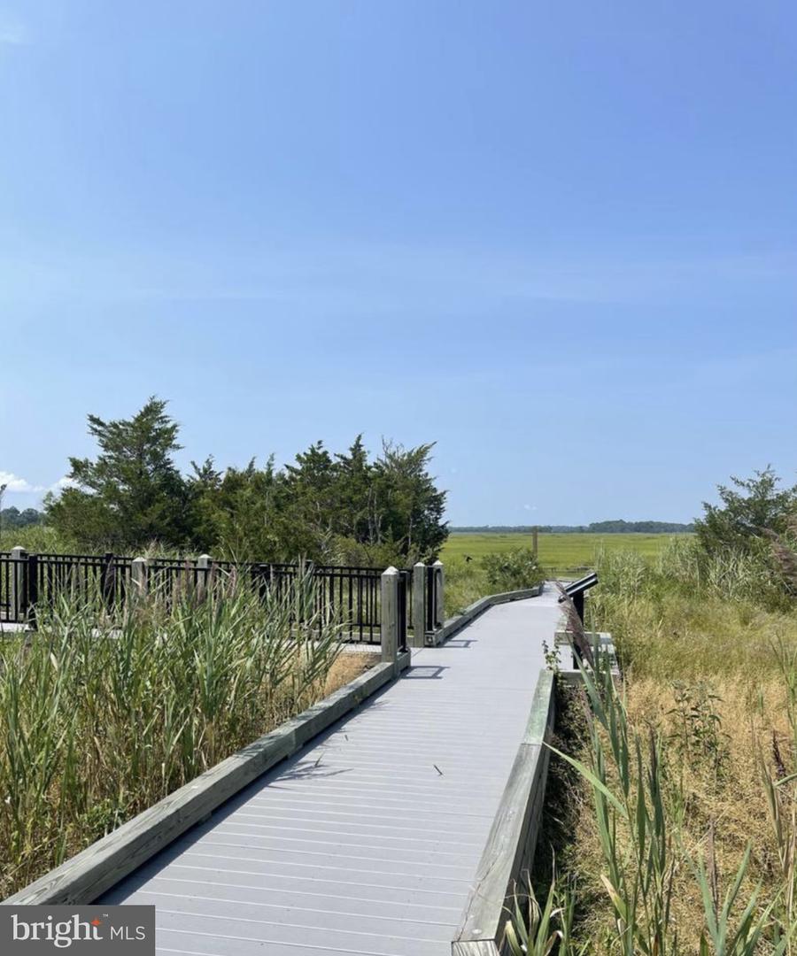 DESU2058960-802948547970-2025-09-23-12-08-18 Lot 514 Beach Plum Dr | Milford, DE Real Estate For Sale | MLS# Desu2058960 - Jack Lingo REALTOR DESU2058960-802948547970-2025-09-23-12-08-18 Lot 514 Beach Plum Dr | Milford, DE Real Estate For Sale | MLS# Desu2058960 - Jack Lingo REALTOR