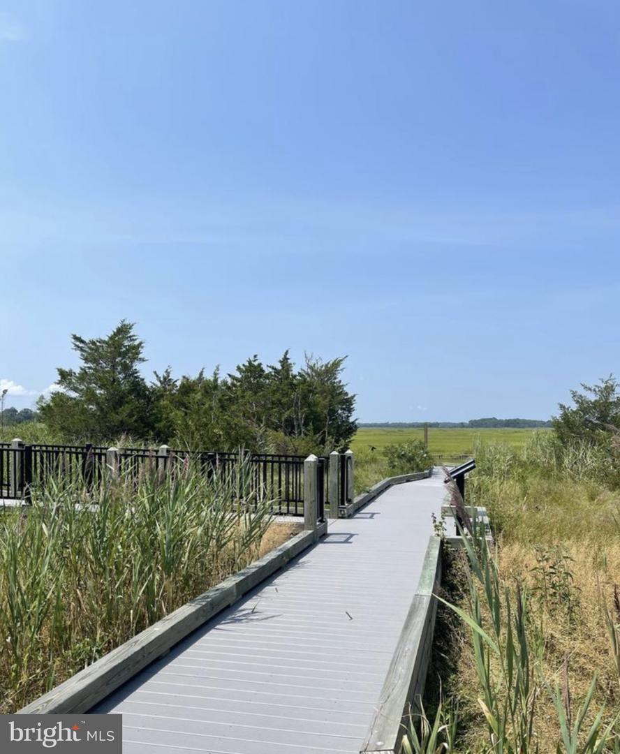 DESU2058962-802948555804-2025-09-23-12-08-35 Lot 515 Beach Plum Dr | Milford, DE Real Estate For Sale | MLS# Desu2058962  - Jack Lingo REALTOR