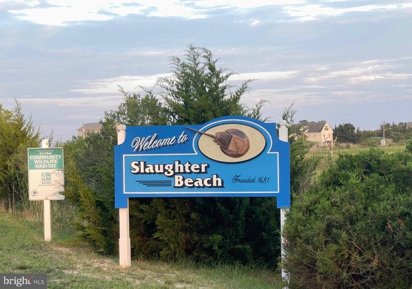 DESU2058962-802948555824-2025-09-23-12-08-36 Lot 515 Beach Plum Dr | Milford, DE Real Estate For Sale | MLS# Desu2058962  - Jack Lingo REALTOR