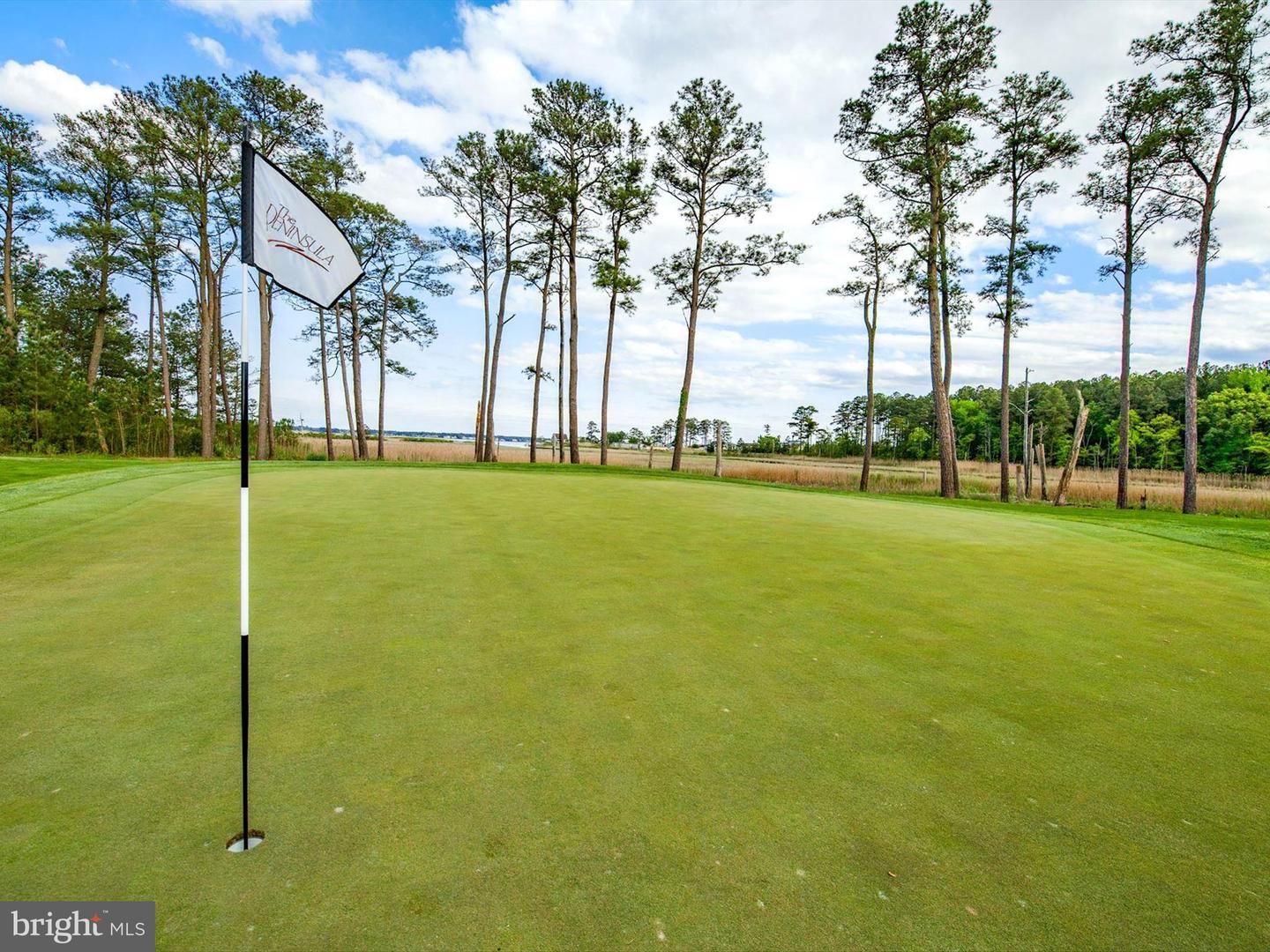 DESU2059004-803475733570-2024-11-09-10-50-49 33564 Windswept Dr #2301 | Millsboro, DE Real Estate For Sale | MLS# Desu2059004  - Jack Lingo REALTOR