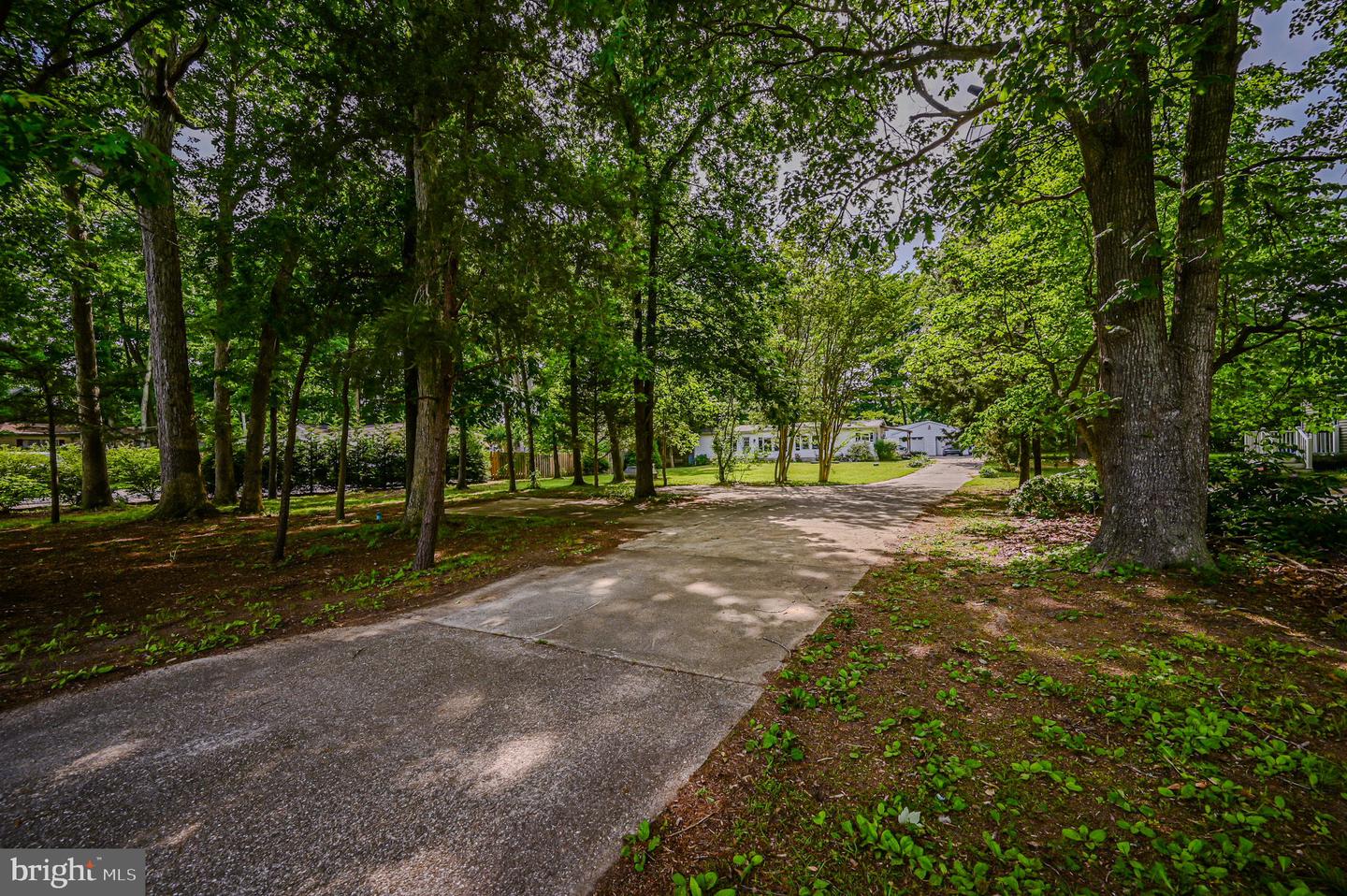 DESU2060650-803094994336-2025-04-16-12-54-39 18354 Hudson Rd | Milton, DE Real Estate For Sale | MLS# Desu2060650  - Jack Lingo REALTOR