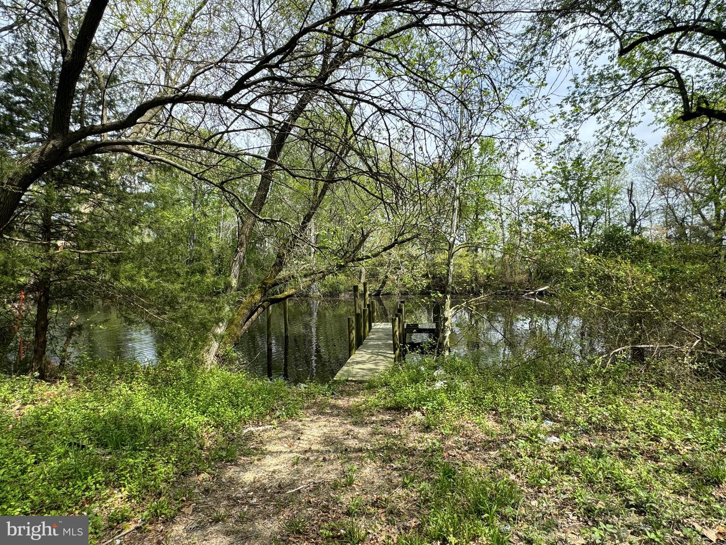 DESU2060750-803010538480-2025-04-26-16-00-52 1115 W 6th St | Laurel, DE Real Estate For Sale | MLS# Desu2060750  - Jack Lingo REALTOR