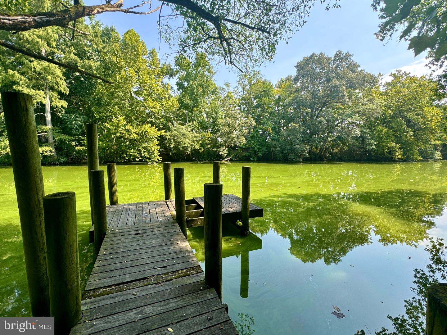 DESU2060750-803322976424-2025-04-26-16-00-52 1115 W 6th St | Laurel, DE Real Estate For Sale | MLS# Desu2060750  - Jack Lingo REALTOR