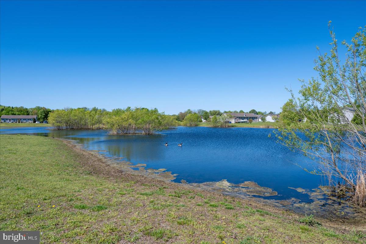 DESU2060898-803028715476-2025-06-13-11-25-27 22932 Deep Creek Dr | Lincoln, DE Real Estate For Sale | MLS# Desu2060898  - Jack Lingo REALTOR