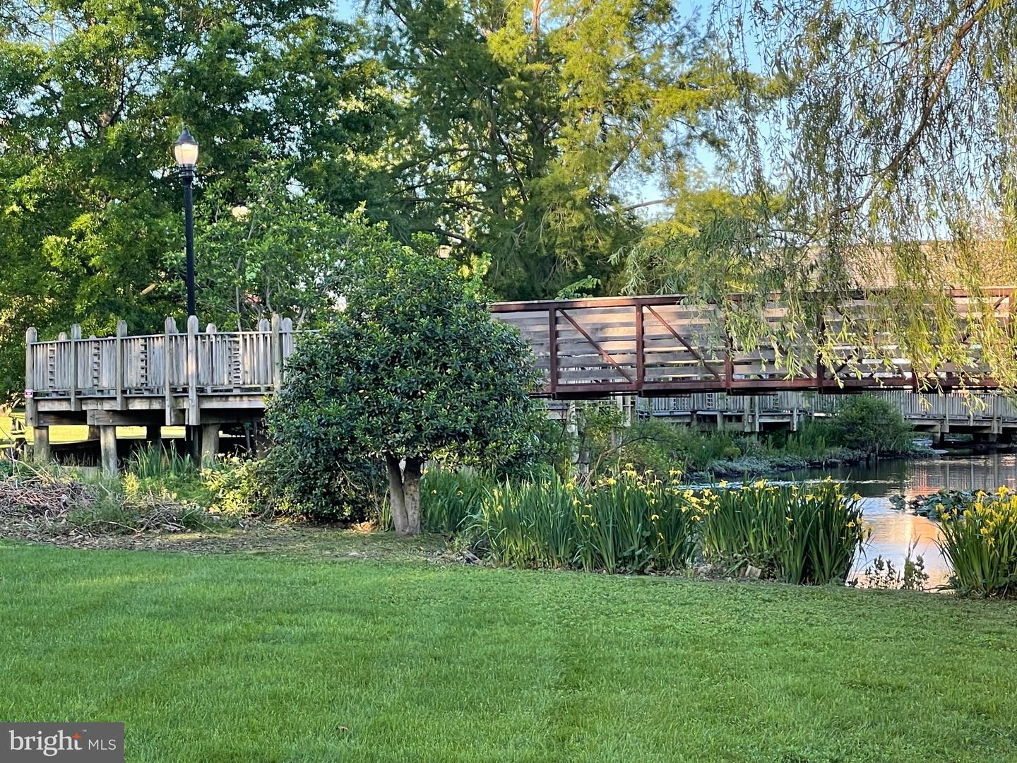 DESU2061652-803062931046-2025-03-04-15-18-25 15 W Clarke Ave | Milford, DE Real Estate For Sale | MLS# Desu2061652  - Jack Lingo REALTOR