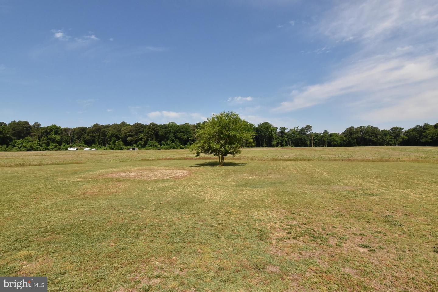 DESU2063770-803143507108-2025-03-31-10-32-34 29320 Revel Rd | Millsboro, DE Real Estate For Sale | MLS# Desu2063770  - Jack Lingo REALTOR