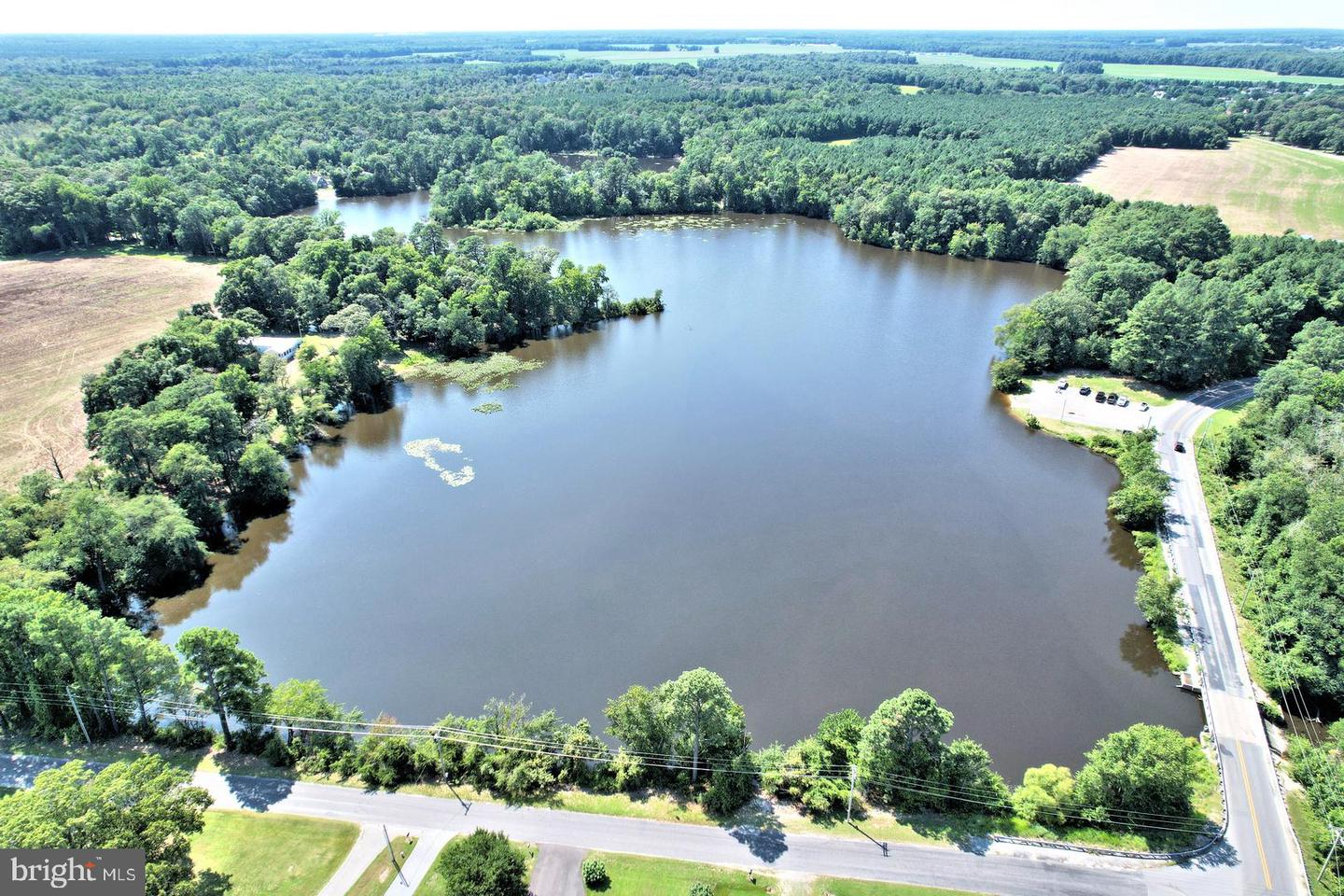 DESU2063770-803255611684-2025-03-31-10-32-36 29320 Revel Rd | Millsboro, DE Real Estate For Sale | MLS# Desu2063770  - Jack Lingo REALTOR