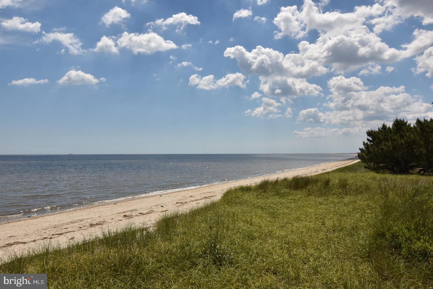 DESU2064330-803138217780-2025-05-17-14-00-55 351 Bay Ave | Milford, DE Real Estate For Sale | MLS# Desu2064330  - Jack Lingo REALTOR
