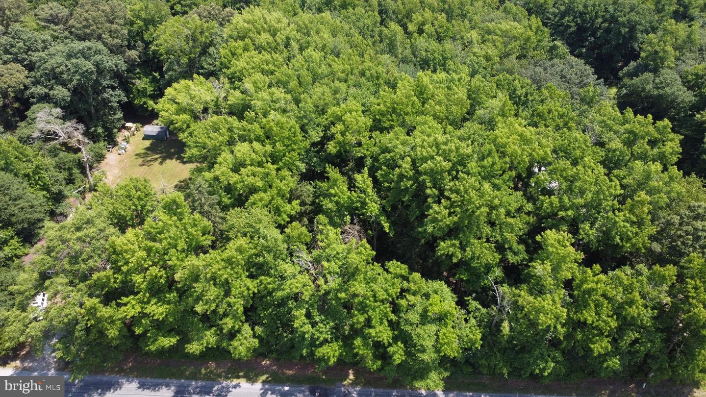 DESU2065446-803183669358-2024-10-18-10-52-28 0 Route 16 | Ellendale, DE Real Estate For Sale | MLS# Desu2065446  - Jack Lingo REALTOR