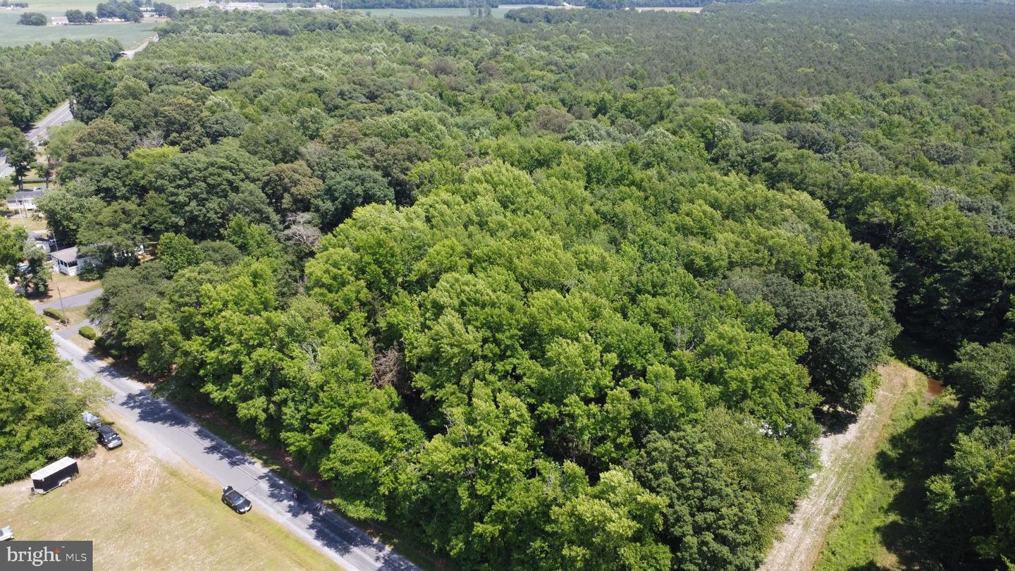 DESU2065446-803183669468-2024-10-18-10-52-28 0 Route 16 | Ellendale, DE Real Estate For Sale | MLS# Desu2065446  - Jack Lingo REALTOR