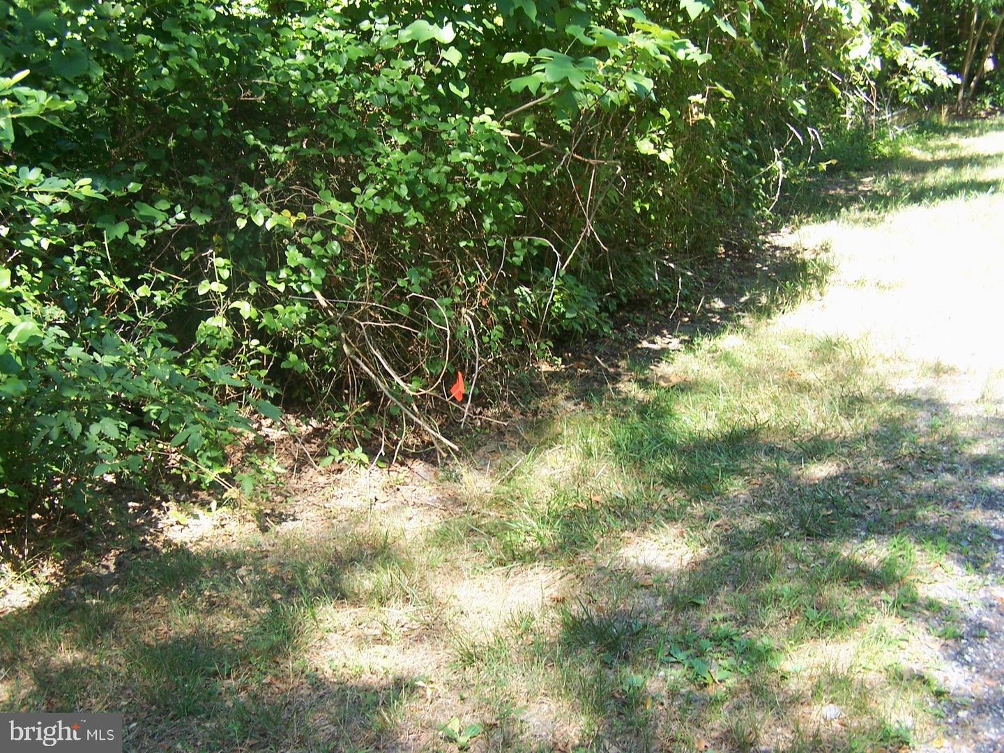 LOT 2 CAT BOAT ALLEY, SEAFORD, DE - Jack Lingo Realtor