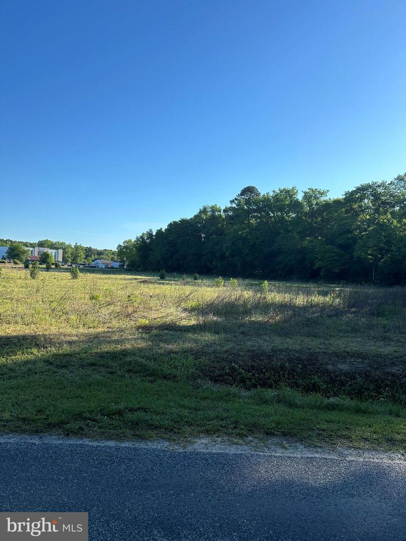 DESU2066598-803224772958-2024-07-17-15-01-34 0 Lynch Rd | Selbyville, DE Real Estate For Sale | MLS# Desu2066598  - Jack Lingo REALTOR