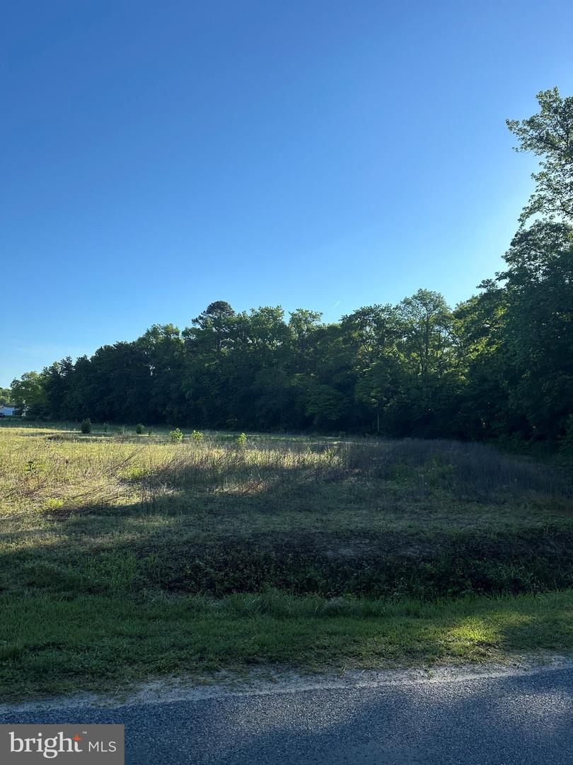 DESU2066598-803224773040-2024-07-17-15-01-34 0 Lynch Rd | Selbyville, DE Real Estate For Sale | MLS# Desu2066598  - Jack Lingo REALTOR