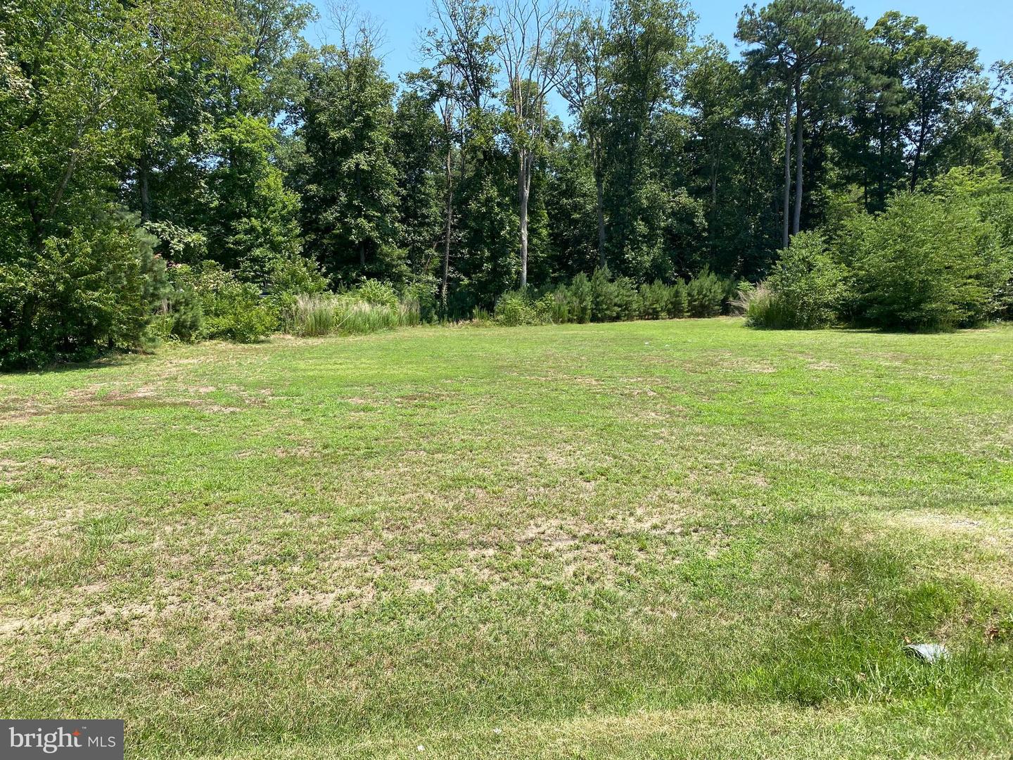 DESU2066634-803226500348-2024-07-17-12-11-28 Parcel A West Beach Road | Dagsboro, DE Real Estate For Sale | MLS# Desu2066634  - Jack Lingo REALTOR