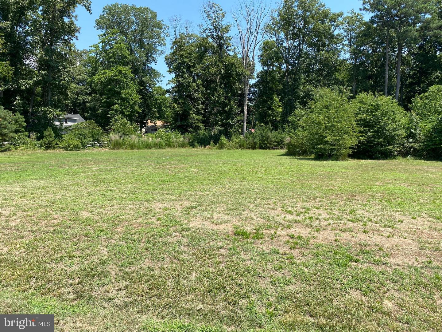 DESU2066634-803226501158-2024-07-17-12-11-28 Parcel A West Beach Road | Dagsboro, DE Real Estate For Sale | MLS# Desu2066634  - Jack Lingo REALTOR
