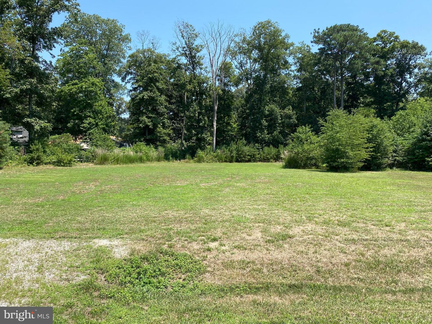 DESU2066634-803226502504-2024-07-17-12-11-28 Parcel A West Beach Road | Dagsboro, DE Real Estate For Sale | MLS# Desu2066634  - Jack Lingo REALTOR