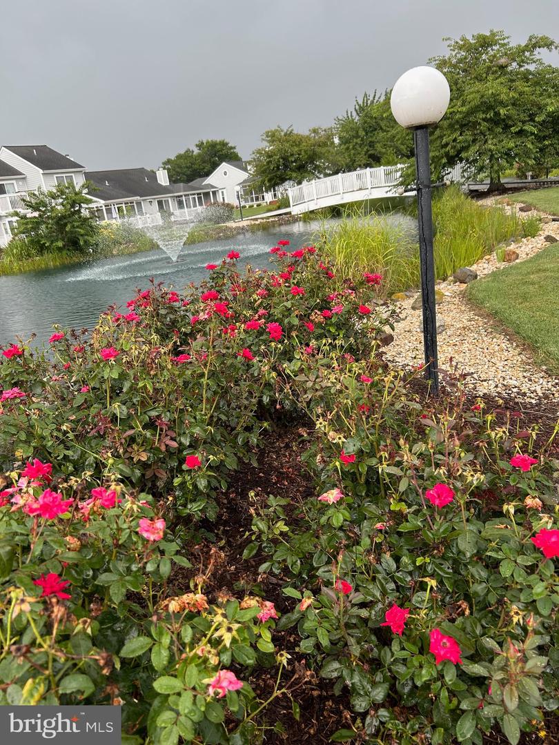 DESU2067222-803246563650-2025-06-13-13-02-07 30996 Crepe Myrtle Dr #46 | Millsboro, DE Real Estate For Sale | MLS# Desu2067222  - Jack Lingo REALTOR
