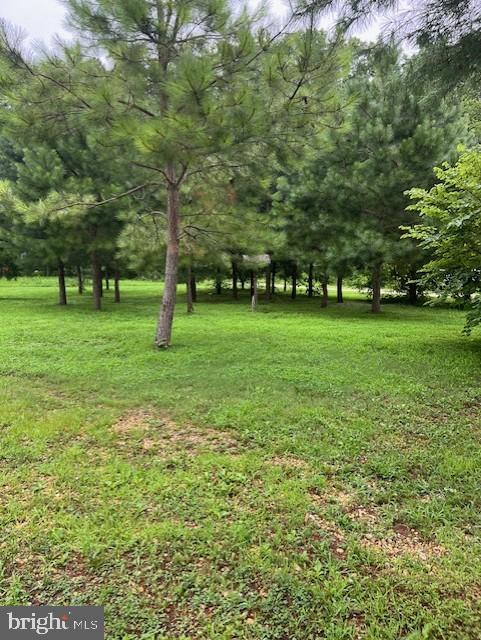 DESU2067398-803260765892-2025-03-28-11-39-52 12233 Line Rd | Delmar, DE Real Estate For Sale | MLS# Desu2067398  - Jack Lingo REALTOR