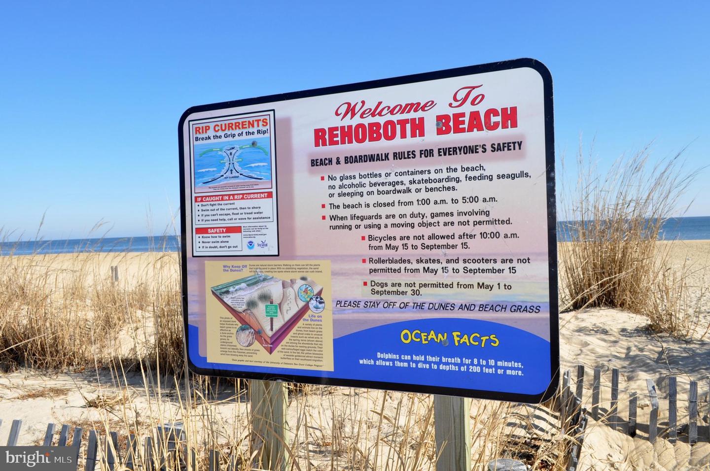 DESU2067438-803257965400-2025-04-28-18-11-40 108 Laurel St | Rehoboth Beach, DE Real Estate For Sale | MLS# Desu2067438  - Jack Lingo REALTOR