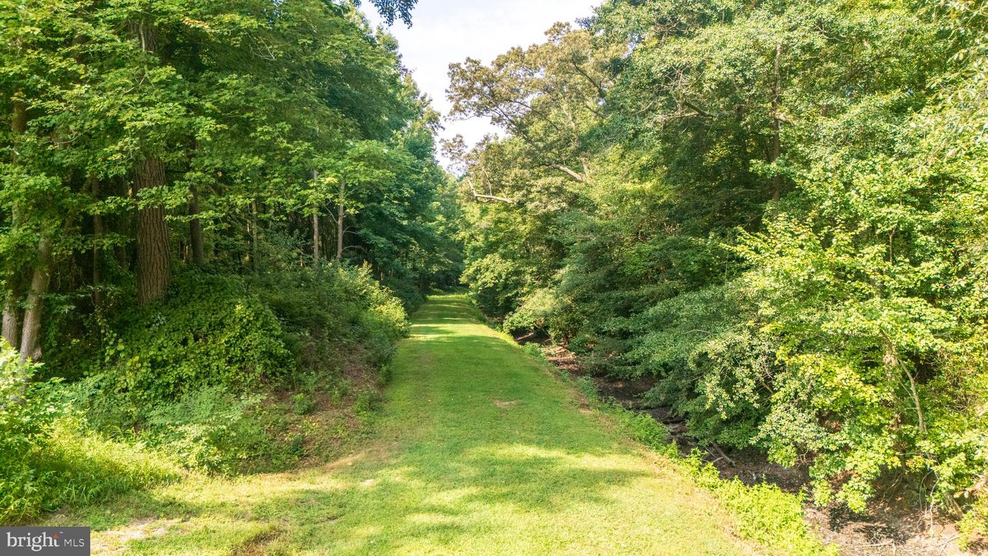 DESU2068534-803323566952-2024-08-30-09-04-50 32794 Pear Tree Rd | Millsboro, DE Real Estate For Sale | MLS# Desu2068534  - Jack Lingo REALTOR