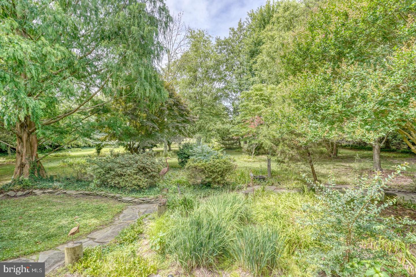 DESU2068636-803297331004-2024-09-13-16-10-47 130 Mcfee St | Lewes, DE Real Estate For Sale | MLS# Desu2068636  - Jack Lingo REALTOR