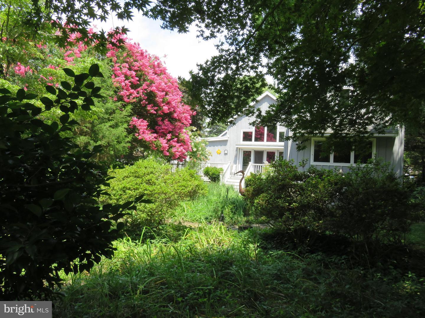 DESU2068636-803301582772-2026-04-27-08-55-32 130 Mcfee St | Lewes, DE Real Estate For Sale | MLS# Desu2068636 - Jack Lingo REALTOR DESU2068636-803301582772-2026-04-27-08-55-32 130 Mcfee St | Lewes, DE Real Estate For Sale | MLS# Desu2068636 - Jack Lingo REALTOR