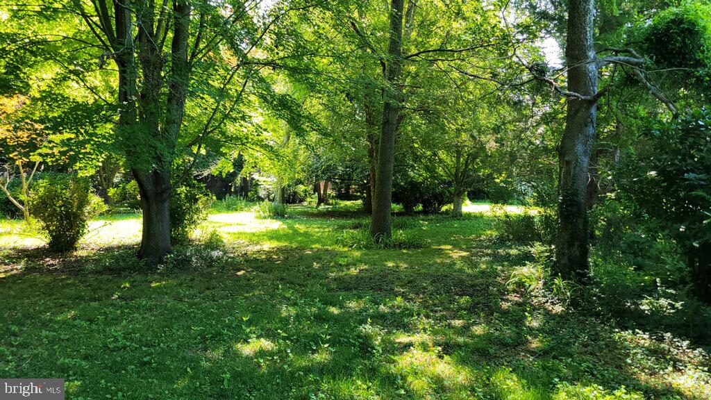 DESU2068636-803311766380-2026-04-27-08-55-35 130 Mcfee St | Lewes, DE Real Estate For Sale | MLS# Desu2068636 - Jack Lingo REALTOR DESU2068636-803311766380-2026-04-27-08-55-35 130 Mcfee St | Lewes, DE Real Estate For Sale | MLS# Desu2068636 - Jack Lingo REALTOR