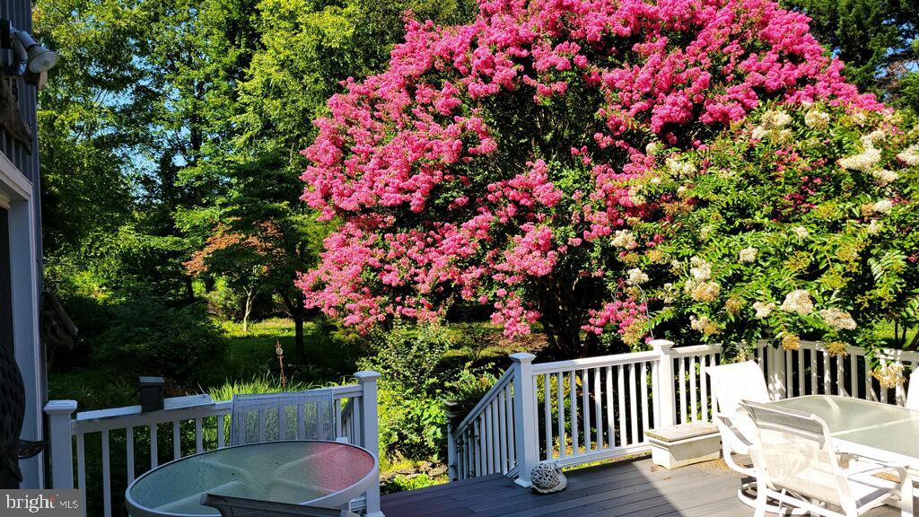 DESU2068636-803311803048-2025-06-29-07-43-32 130 Mcfee St | Lewes, DE Real Estate For Sale | MLS# Desu2068636  - Jack Lingo REALTOR
