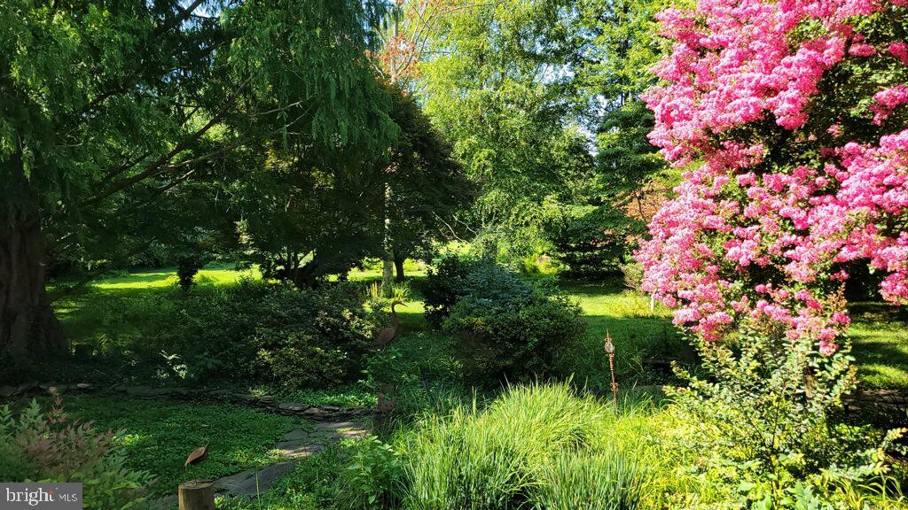 DESU2068636-803311870234-2026-04-27-08-55-34 130 Mcfee St | Lewes, DE Real Estate For Sale | MLS# Desu2068636 - Jack Lingo REALTOR DESU2068636-803311870234-2026-04-27-08-55-34 130 Mcfee St | Lewes, DE Real Estate For Sale | MLS# Desu2068636 - Jack Lingo REALTOR