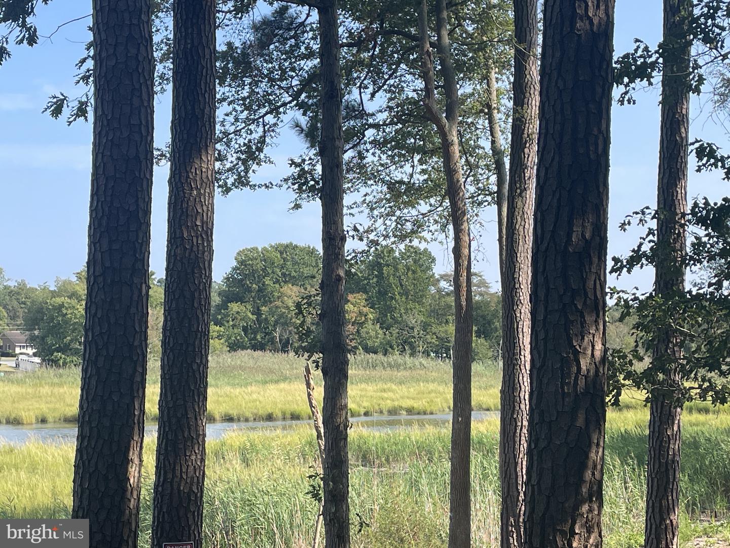 DESU2069322-803318101984-2025-06-18-10-17-14 34178 Apache Pass | Dagsboro, DE Real Estate For Sale | MLS# Desu2069322  - Jack Lingo REALTOR