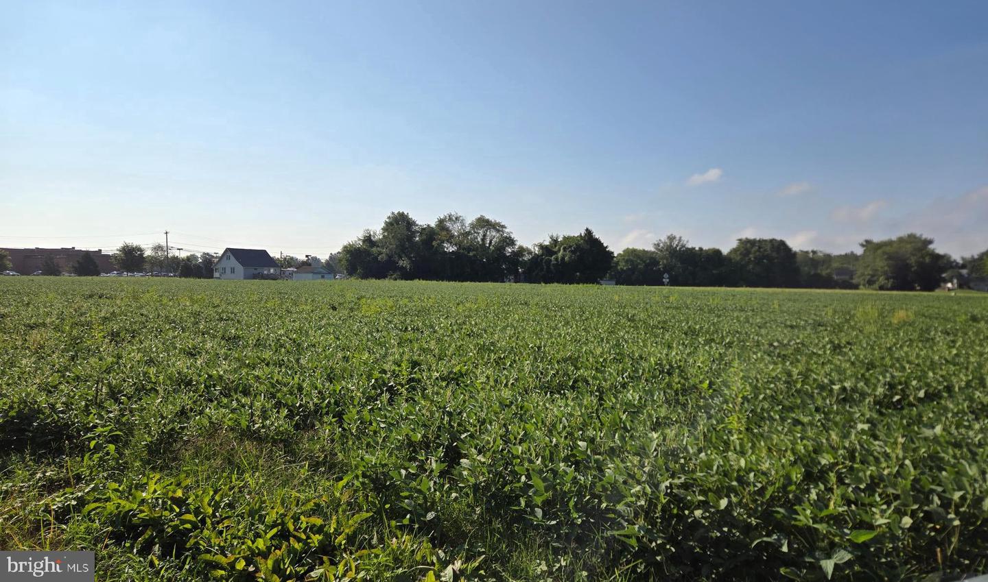 DESU2069528-803324131712-2025-09-04-12-36-42 14242 Union Street Ext | Milton, DE Real Estate For Sale | MLS# Desu2069528  - Jack Lingo REALTOR
