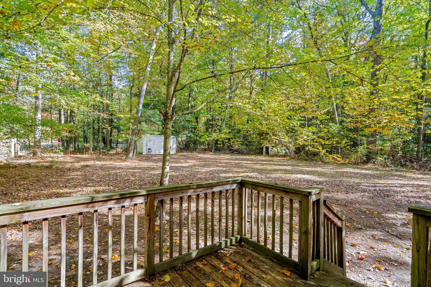 DESU2069546-803538422236-2025-01-10-15-16-21 22243 Deep Branch Rd | Georgetown, DE Real Estate For Sale | MLS# Desu2069546  - Jack Lingo REALTOR