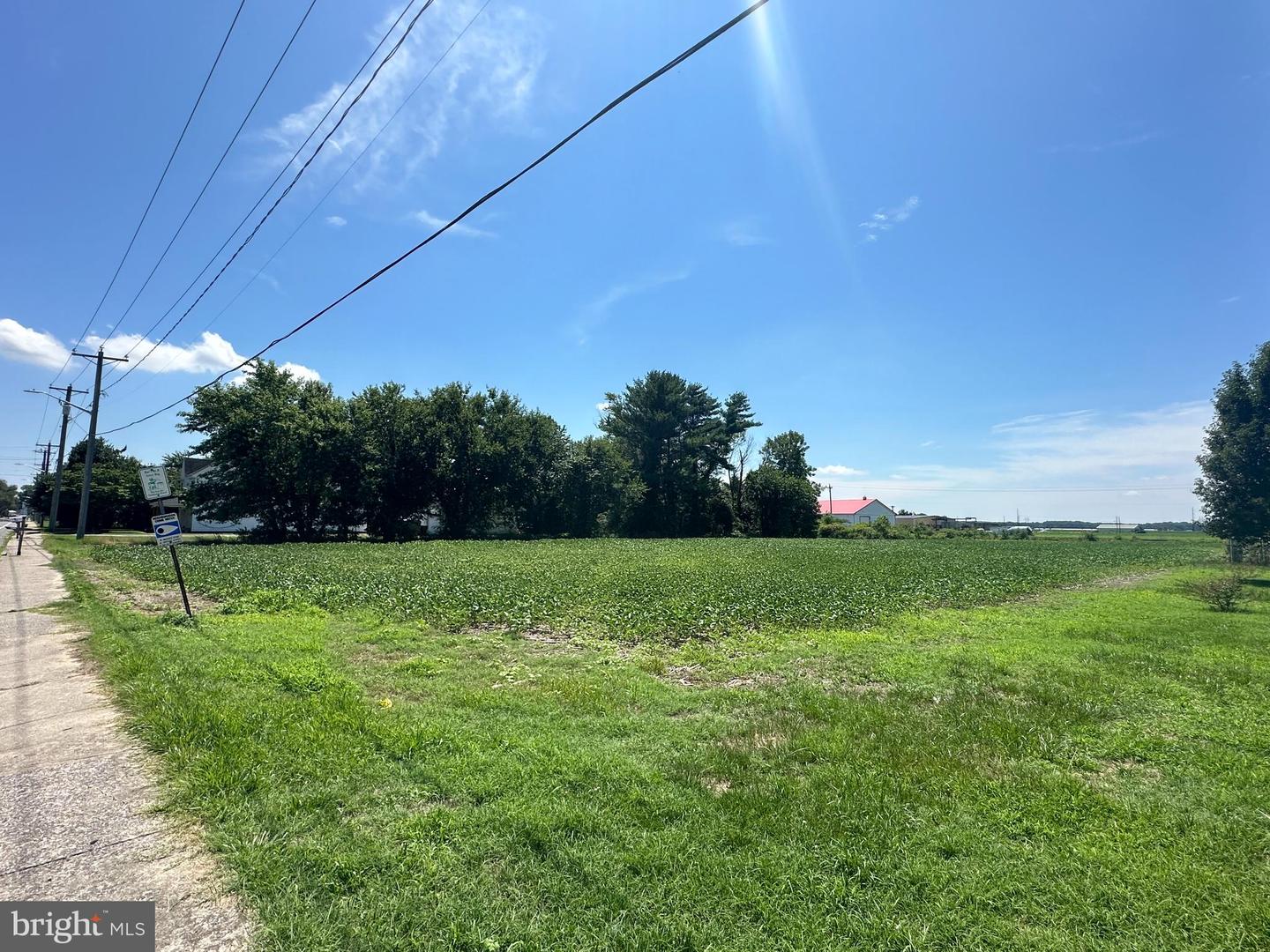 UNKNOWN, FRANKFORD, DE - Jack Lingo Realtor