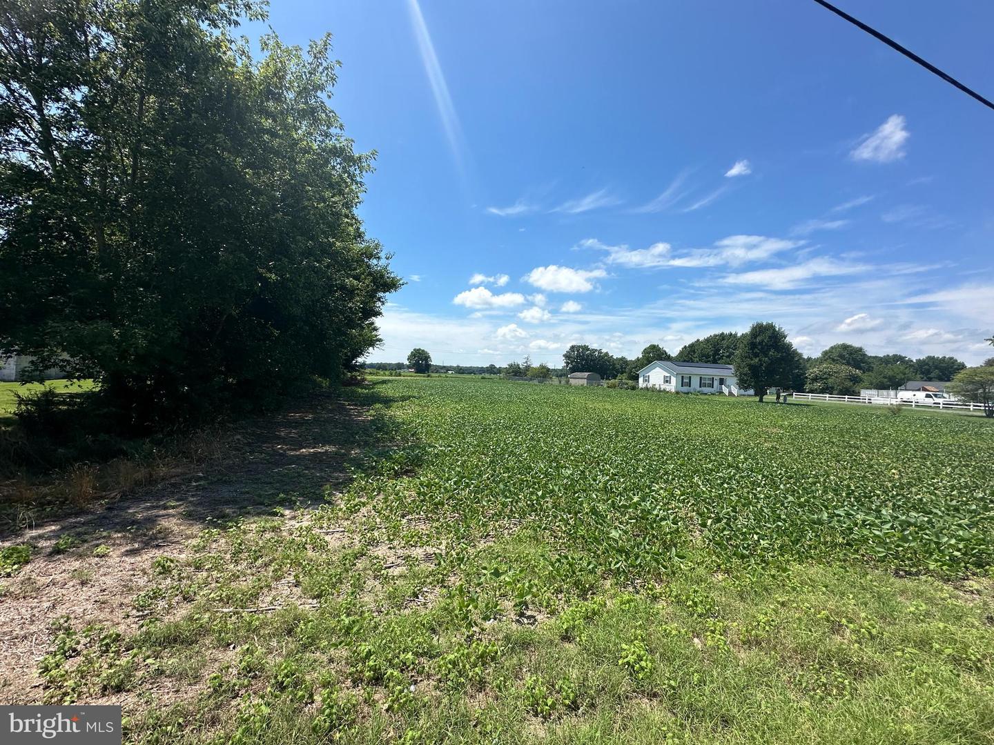 DESU2069606-803325961858-2024-08-30-13-13-00 Unknown | Frankford, DE Real Estate For Sale | MLS# Desu2069606  - Jack Lingo REALTOR