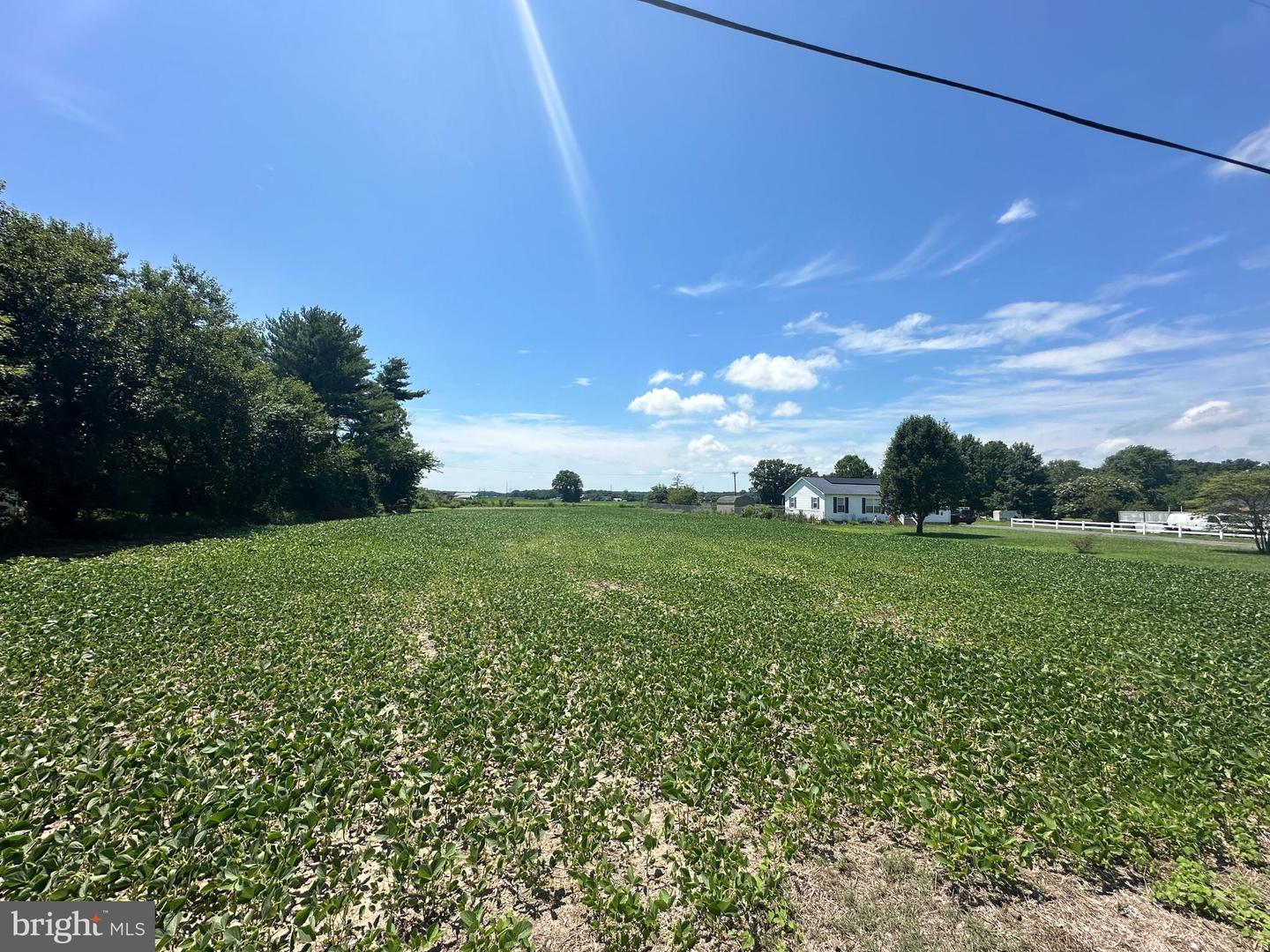 DESU2069606-803325961876-2024-08-30-13-13-00 Unknown | Frankford, DE Real Estate For Sale | MLS# Desu2069606  - Jack Lingo REALTOR