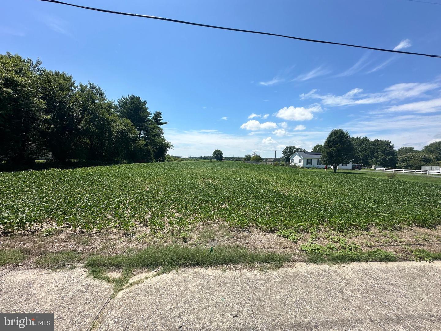 DESU2069606-803325961900-2024-08-30-13-12-59 Unknown | Frankford, DE Real Estate For Sale | MLS# Desu2069606  - Jack Lingo REALTOR